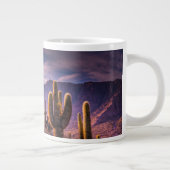 Deserts | Cactus Landscape Argentina Grote Koffiekop (Rechts)