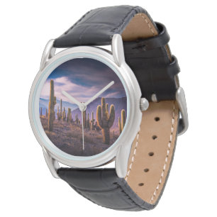 Deserts   Cactus Landscape Argentina Horloge