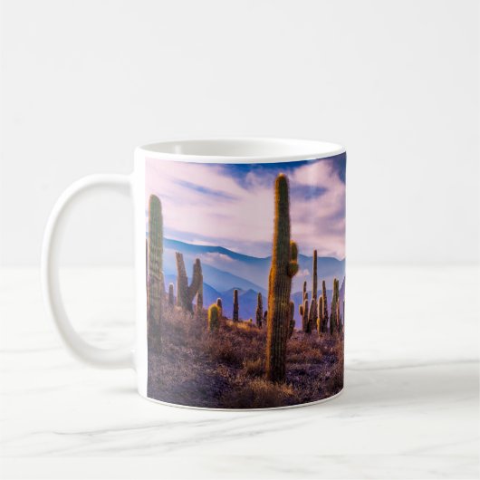 Deserts | Cactus Landscape Argentina Koffiemok (Links)
