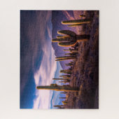 Deserts | Cactus Landscape Argentina Legpuzzel (Verticaal)