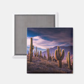 Deserts | Cactus Landscape Argentina Magneet (Voorkant / Achterkant)