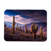 Deserts | Cactus Landscape Argentina Magneet (Horizontaal)