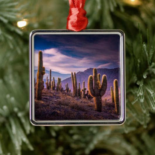 Deserts | Cactus Landscape Argentina Metalen Ornament (Boom)