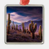 Deserts | Cactus Landscape Argentina Metalen Ornament (Voorkant)
