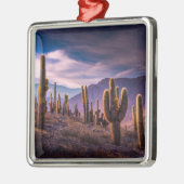 Deserts | Cactus Landscape Argentina Metalen Ornament (Links)