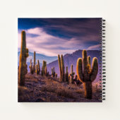 Deserts | Cactus Landscape Argentina Notitieboek (Achterkant)