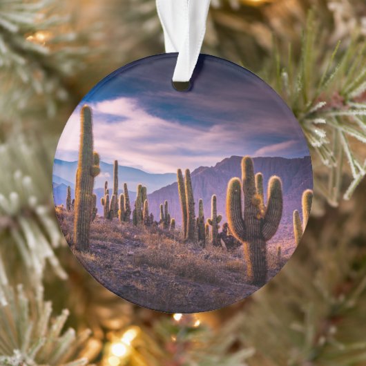 Deserts | Cactus Landscape Argentina Ornament (Boom)