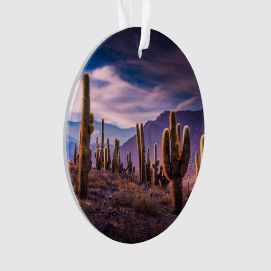 Deserts | Cactus Landscape Argentina Ornament (voorkant)