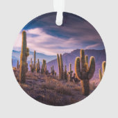 Deserts | Cactus Landscape Argentina Ornament (achterkant)