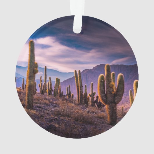 Deserts | Cactus Landscape Argentina Ornament (achterkant)