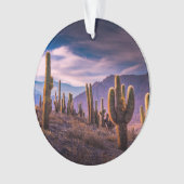 Deserts | Cactus Landscape Argentina Ornament (voorkant)