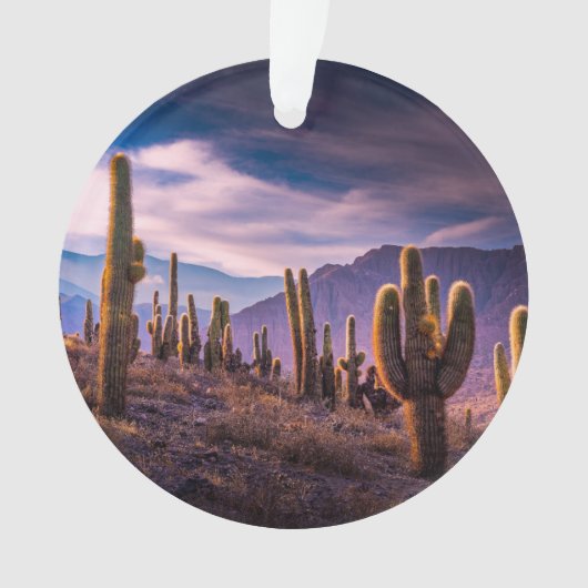 Deserts | Cactus Landscape Argentina Ornament (voorkant)