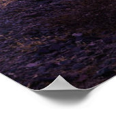 Deserts | Cactus Landscape Argentina Poster (Hoek)