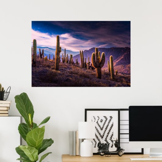 Deserts | Cactus Landscape Argentina Poster (Thuiskantoor)