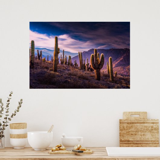 Deserts | Cactus Landscape Argentina Poster (Keuken)