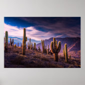 Deserts | Cactus Landscape Argentina Poster (Voorkant)