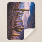 Deserts | Cactus Landscape Argentina Sherpa Deken (Voorkant)
