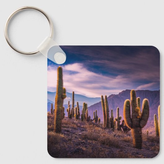 Deserts | Cactus Landscape Argentina Sleutelhanger (Voorkant)