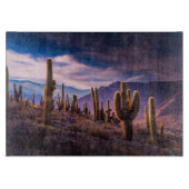 Deserts | Cactus Landscape Argentina Snijplank (Voorkant)