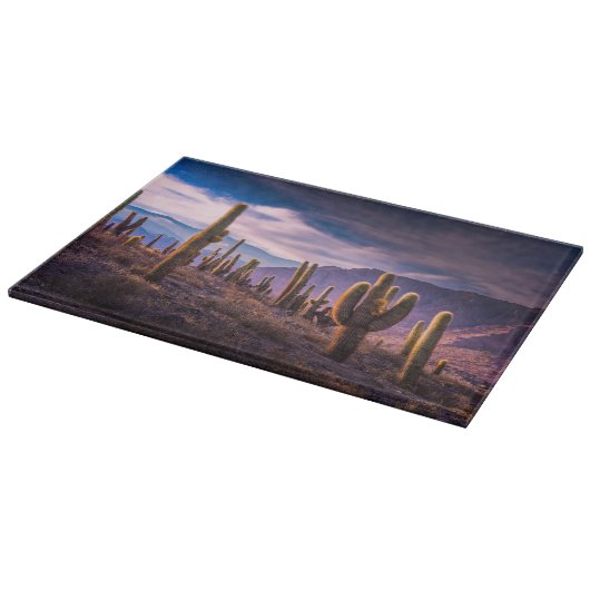 Deserts | Cactus Landscape Argentina Snijplank (Hoek)
