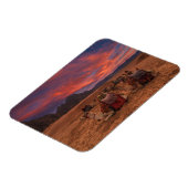 Deserts | Camels Sinai Mountains Egypt Magneet (Linkerzijde)