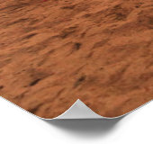 Deserts | Camels Sinai Mountains Egypt Poster (Hoek)