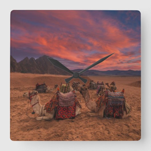 Deserts | Camels Sinai Mountains Egypt Vierkante Klok (Voorkant)