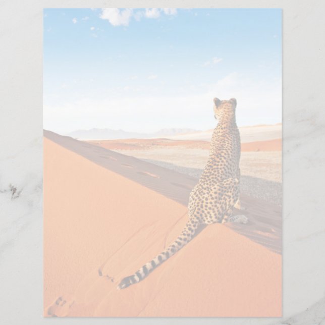 Deserts Cheetah Savannah Desert (Voorkant)