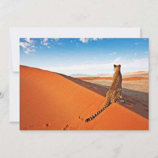 Deserts | Cheetah Savannah Desert Bedankkaart (Voorkant)