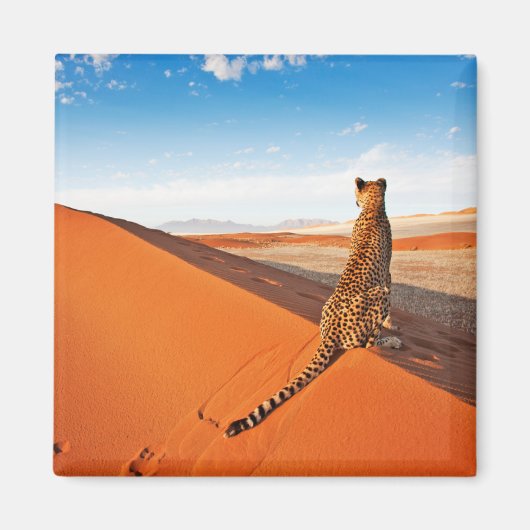 Deserts Cheetah Savannah Desert Magneet (Voorkant)