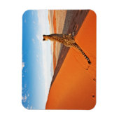 Deserts Cheetah Savannah Desert Magneet (Verticaal)