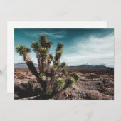 Deserts | Cholla Cactus Bedankkaart (Voorkant / Achterkant)