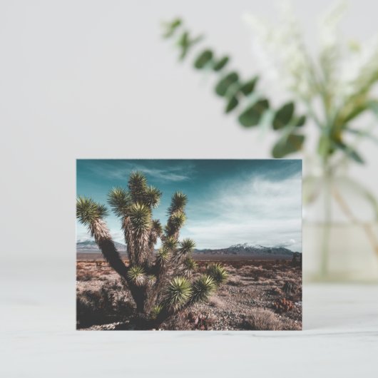 Deserts | Cholla Cactus Briefkaart (Staand voorkant)