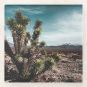 Deserts | Cholla Cactus Glazen Onderzetter (Voorkant)