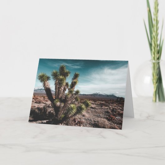 Deserts | Cholla Cactus Kaart (Voorkant)