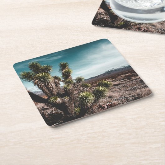 Deserts | Cholla Cactus Kartonnen Onderzetters (Schuin)