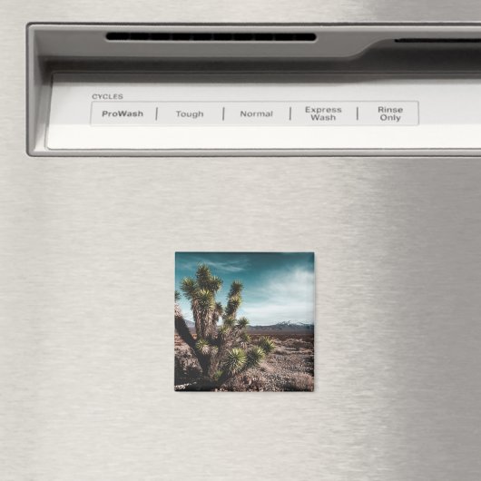 Deserts | Cholla Cactus Magneet (Insitu (Vaatwasser))