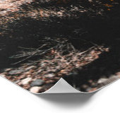 Deserts | Cholla Cactus Poster (Hoek)