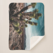 Deserts | Cholla Cactus Sherpa Deken (Voorkant)