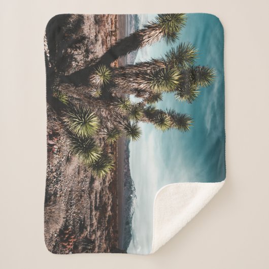 Deserts | Cholla Cactus Sherpa Deken (Voorkant)