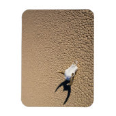 Deserts | Cow Skull on the Desert Ground Magneet (Verticaal)