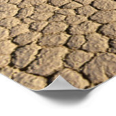 Deserts | Cow Skull on the Desert Ground Poster (Hoek)