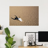 Deserts | Cow Skull on the Desert Ground Poster (Thuiskantoor)