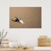 Deserts | Cow Skull on the Desert Ground Poster (Keuken)