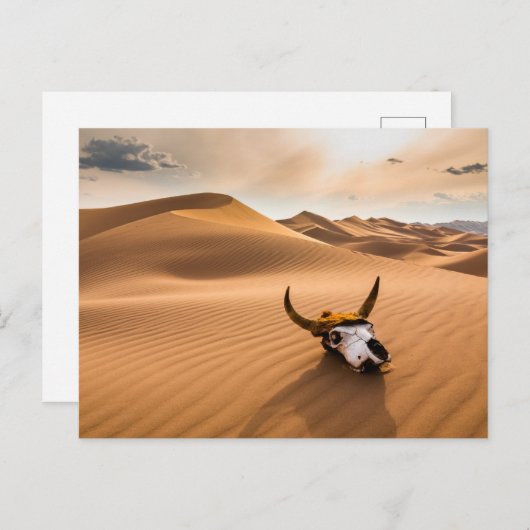 Deserts | Cow Skull Rippled Sand Dunes Briefkaart (Voorkant / Achterkant)