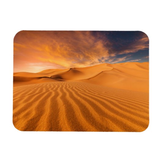 Deserts Desert in the United Arab Emirates Magneet (Horizontaal)