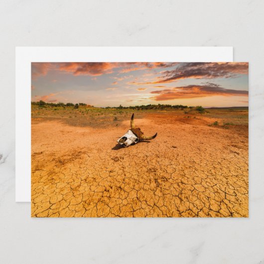 Deserts | Desert with Cow Skull Bedankkaart (Voorkant / Achterkant)