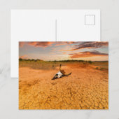 Deserts | Desert with Cow Skull Briefkaart (Voorkant / Achterkant)