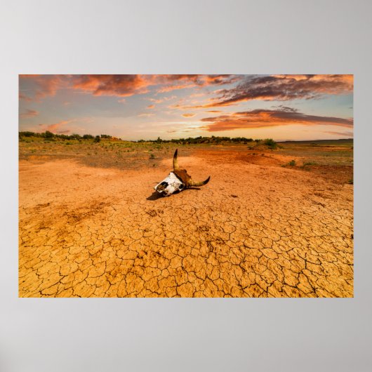 Deserts | Desert with Cow Skull Poster (Voorkant)