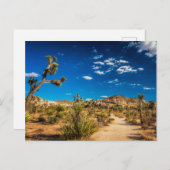 Deserts | Joshua Tree National Park Briefkaart (Voorkant / Achterkant)